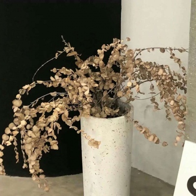 Furry角色比例设计Furry群